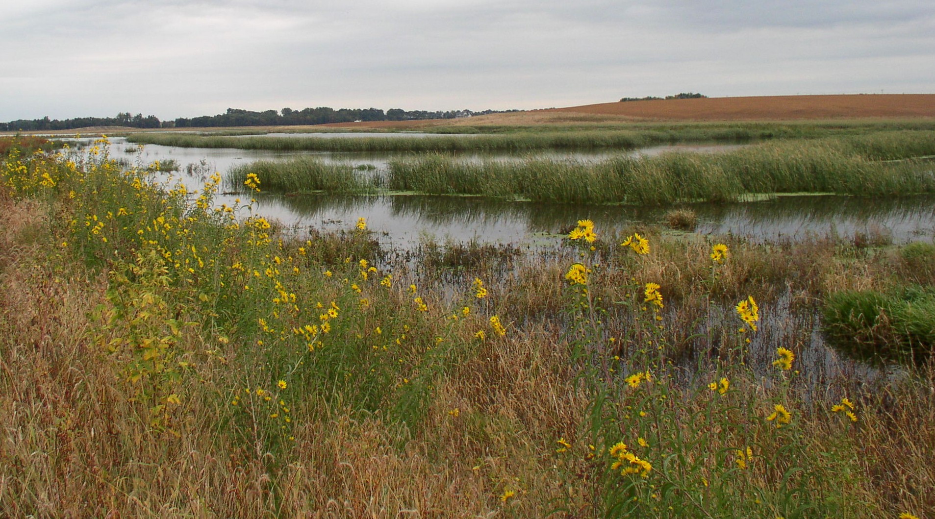 Wetland Restoration | MN Board Of Water, Soil Resources